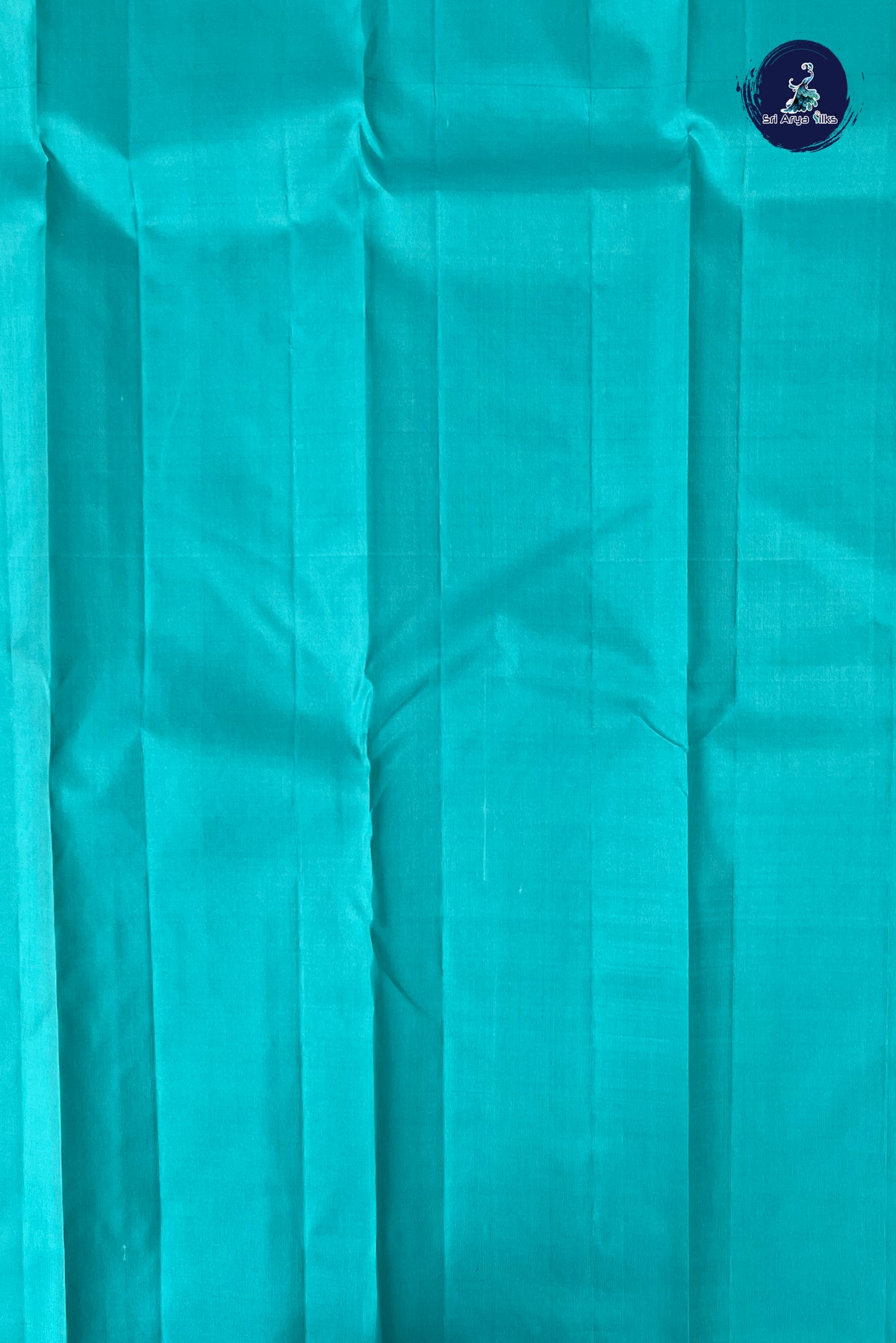 Light Blue Without Border Saree With Zari Woven Pattern
