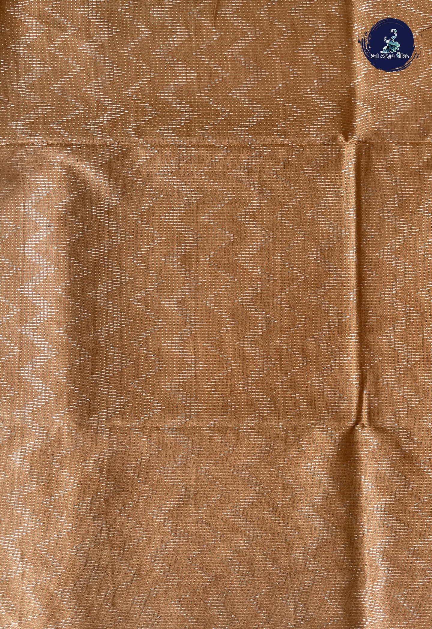 Light Peach Baswada Saree With Embroidery Pattern