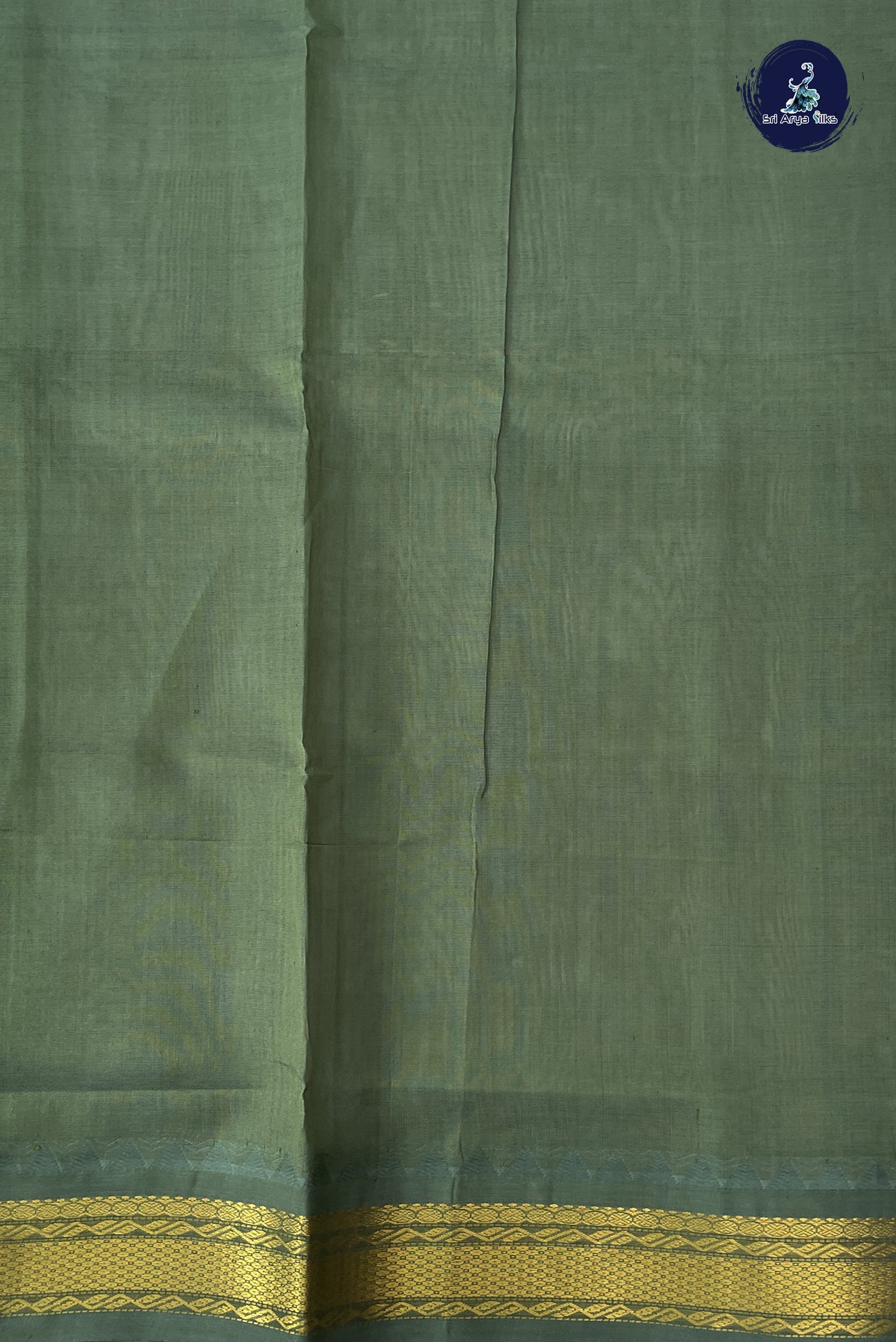 Pastel Green Korvai Silk Cotton Saree With Plain Pattern