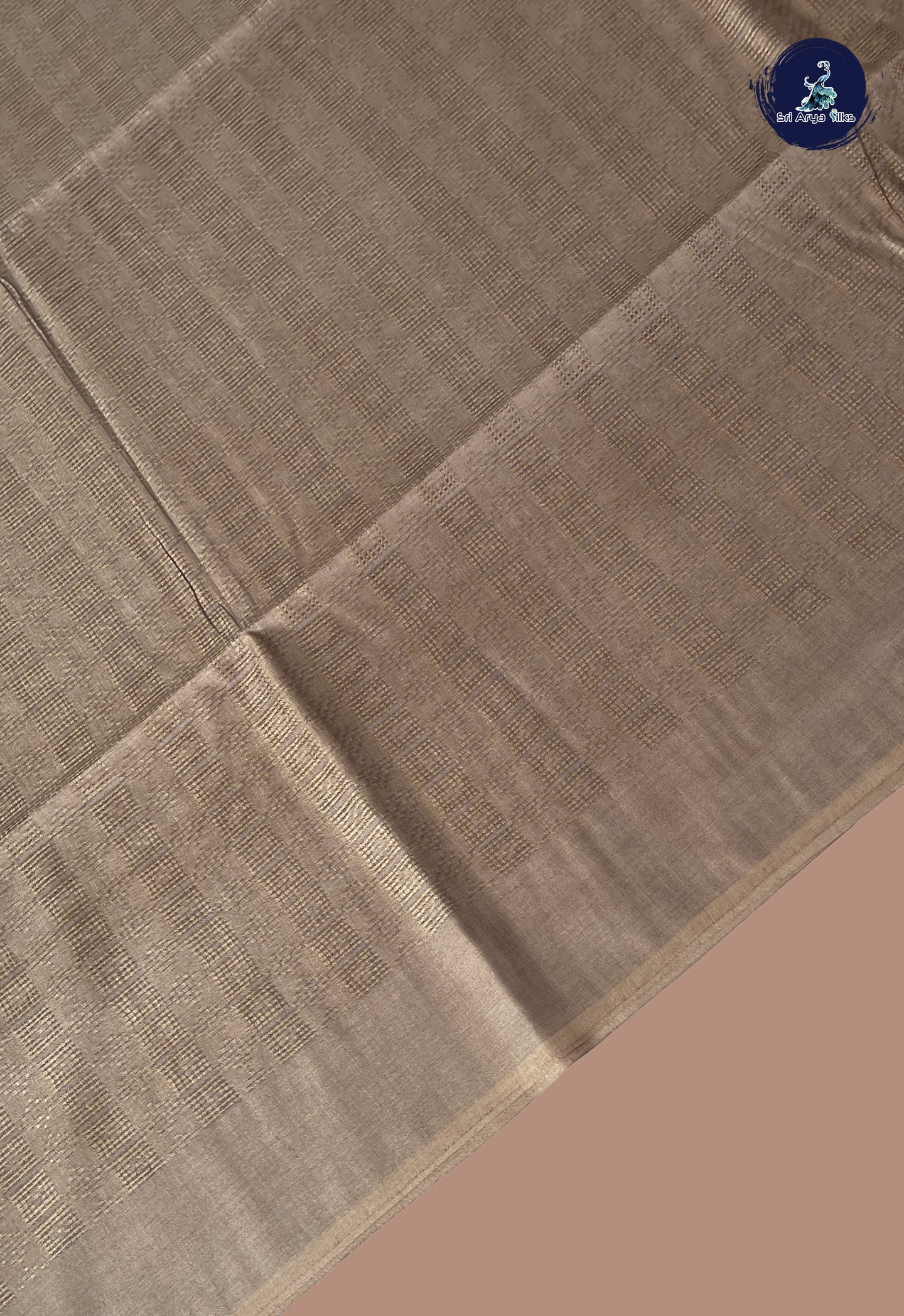 Fawn Tussar Saree With Embossed Pattern