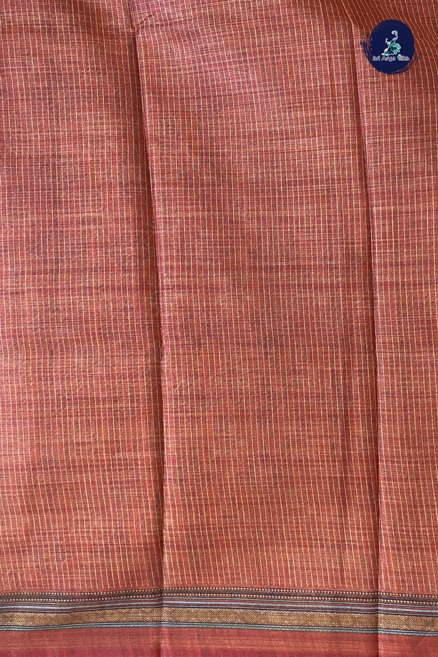Brick Orange Tissue Banarasi Saree With Patola Pattern
